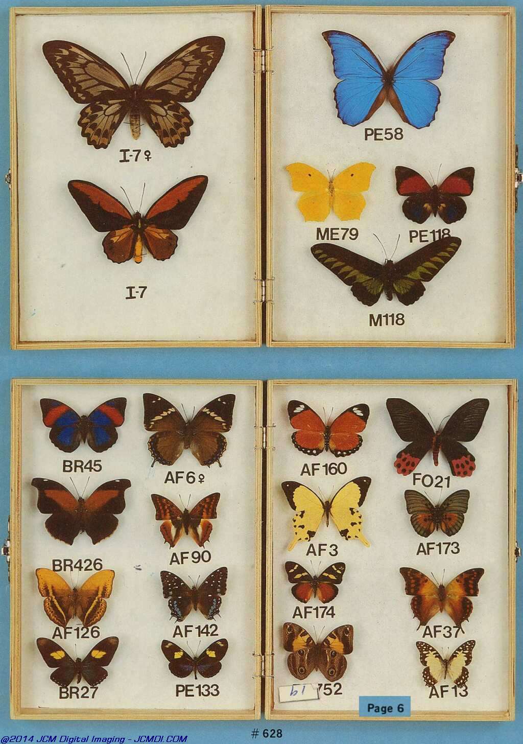 The Butterfly Company (NY) 6 Page catalog (1982)